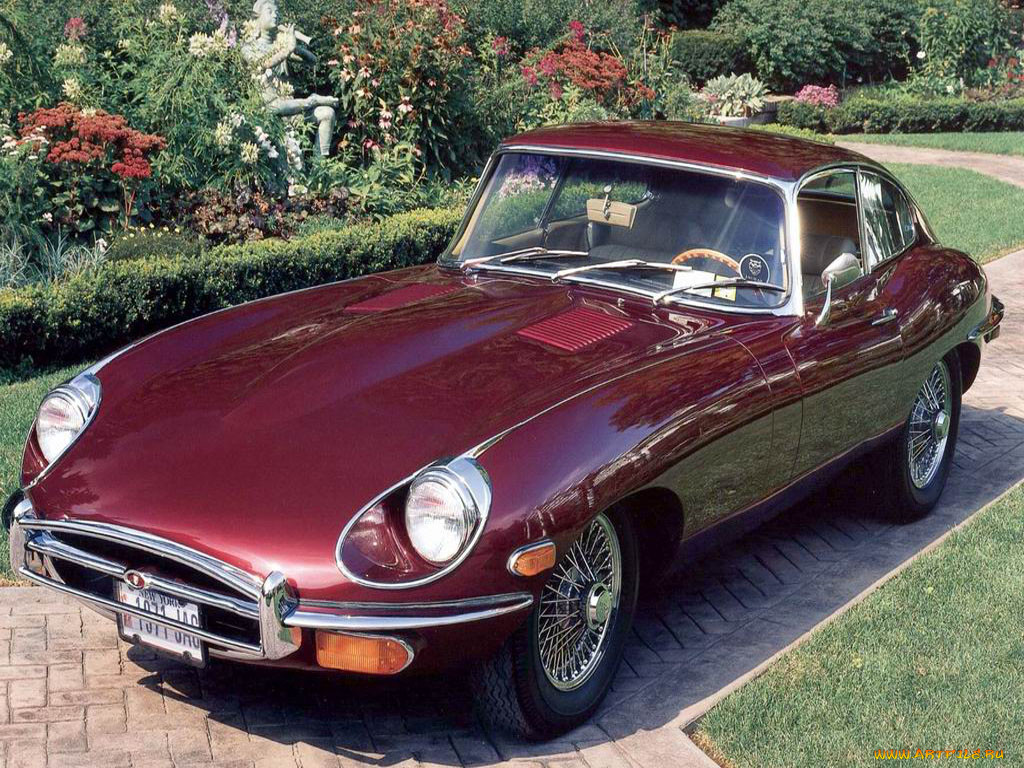 , jaguar